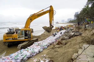 Saving Asia's Most Beautiful Beach: Coastal Protection Efforts at Cua Dai Beach - image 5
