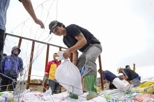 Saving Asia's Most Beautiful Beach: Coastal Protection Efforts at Cua Dai Beach - image 3