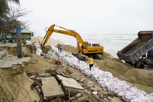 Saving Asia's Most Beautiful Beach: Coastal Protection Efforts at Cua Dai Beach - image 2