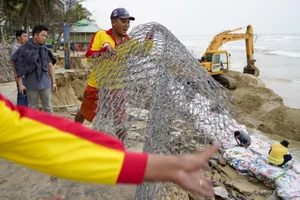 Saving Asia's Most Beautiful Beach: Coastal Protection Efforts at Cua Dai Beach - image 7
