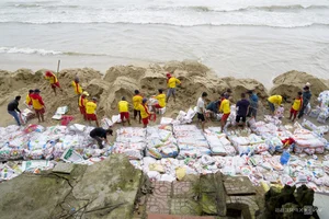 Saving Asia's Most Beautiful Beach: Coastal Protection Efforts at Cua Dai Beach - image 6