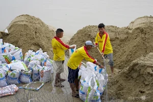 Saving Asia's Most Beautiful Beach: Coastal Protection Efforts at Cua Dai Beach - image 8