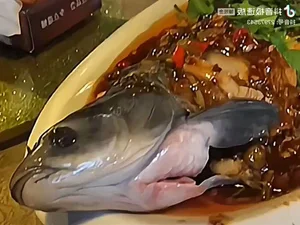 Controversial Delicacies: Why Top Chefs Refuse to Serve These Cruel Dishes - image 9