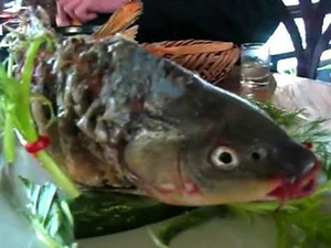 Controversial Delicacies: Why Top Chefs Refuse to Serve These Cruel Dishes - image 4