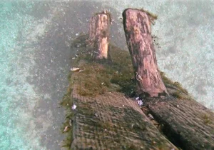 New Clues Discovered on 300 Year Old Lost Shipwreck - image 2