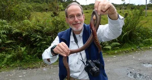 Giant Gippsland Earthworm: The Three-Meter Wonder Making Strange Sounds - image 2