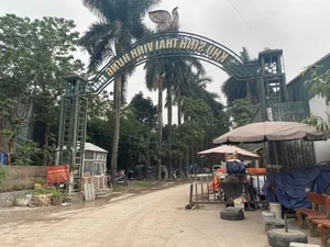 Exploring the Abandoned 15-Hectare Ecological Zone in the Heart of Hanoi - image 17