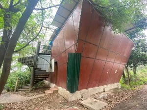 Exploring the Abandoned 15-Hectare Ecological Zone in the Heart of Hanoi - image 15