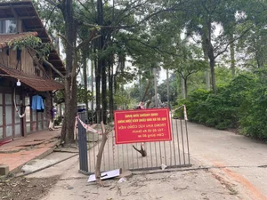 Exploring the Abandoned 15-Hectare Ecological Zone in the Heart of Hanoi - image 18