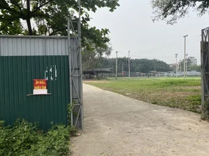 Exploring the Abandoned 15-Hectare Ecological Zone in the Heart of Hanoi - image 0