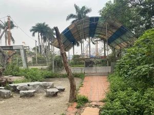 Exploring the Abandoned 15-Hectare Ecological Zone in the Heart of Hanoi - image 3