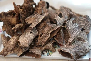 The World's Most Expensive Wood: Kynam Worth $100,000 Per Kilogram - image 2