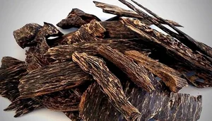 The World's Most Expensive Wood: Kynam Worth $100,000 Per Kilogram - image 0