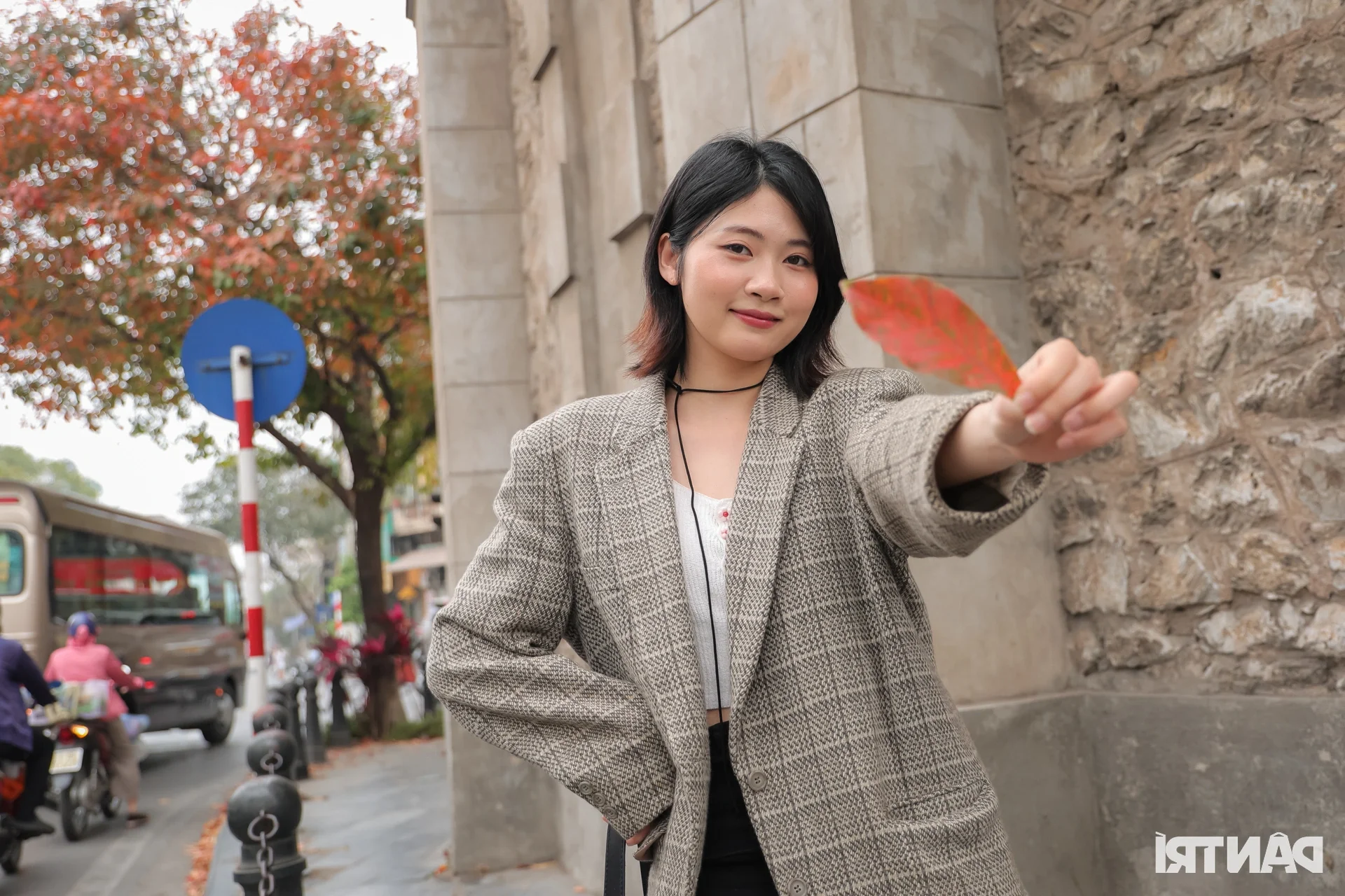 Saigon Tourists Travel to Hanoi to Capture the Autumn Flower Season Trend