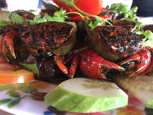 The Strange Local Delicacy Earning Locals Half a Million a Day - image 7