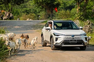 Toyota Corolla Cross Dominates the Hybrid SUV Market in May 2025 - image 10